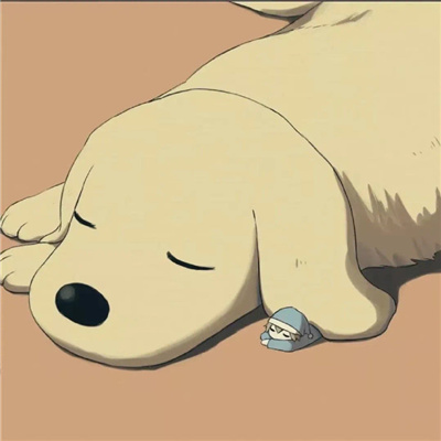 木木（内容编辑）