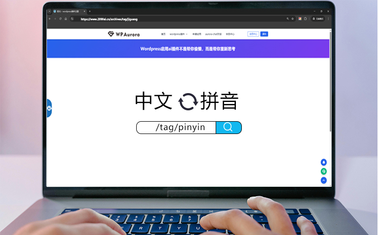 wordpress插件：中文标签路径转拼音