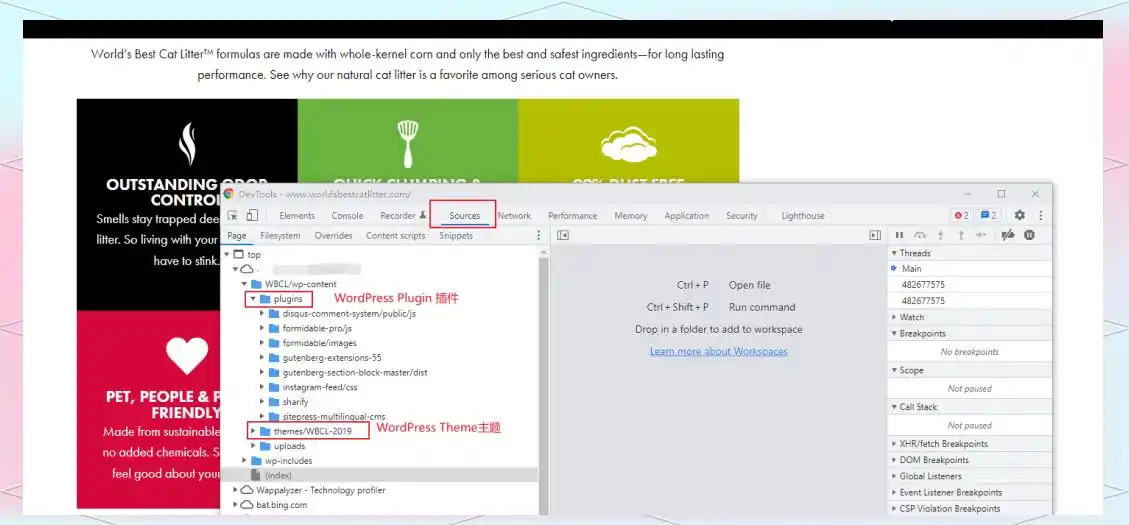利用WordPress插件与主题，全面提升网站性能与视觉效果-2