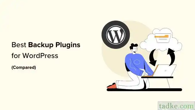 全面评测7款顶级WordPress备份插件：优缺点一网打尽！