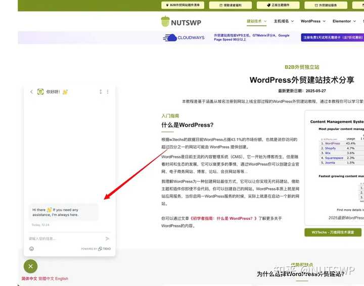 国内有哪些值得关注的WordPress在线聊天插件开发？ – NUTSWP 的解答-24