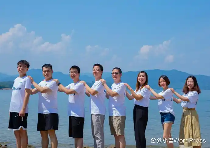 必备的WordPress SEO插件推荐，助你提升网站排名！