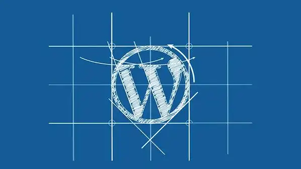 深入探索 WordPress 插件开发中的核心 API 解析