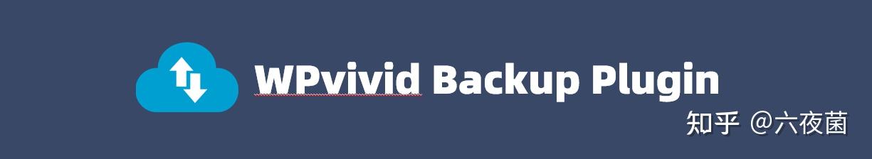 提升WordPress网站功能的十款必备插件推荐-10