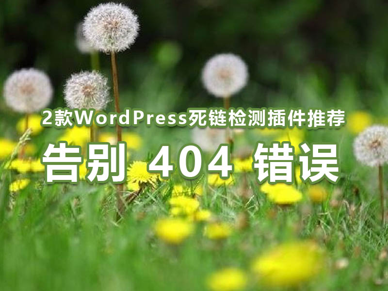 2款WordPress死链检测插件推荐