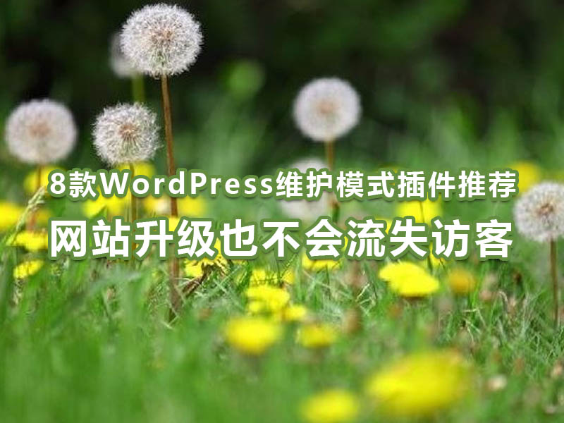 8款WordPress维护模式插件推荐