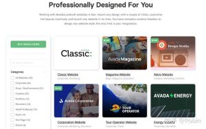 为何许多企业选择自研网站而非依赖WordPress二次开发？