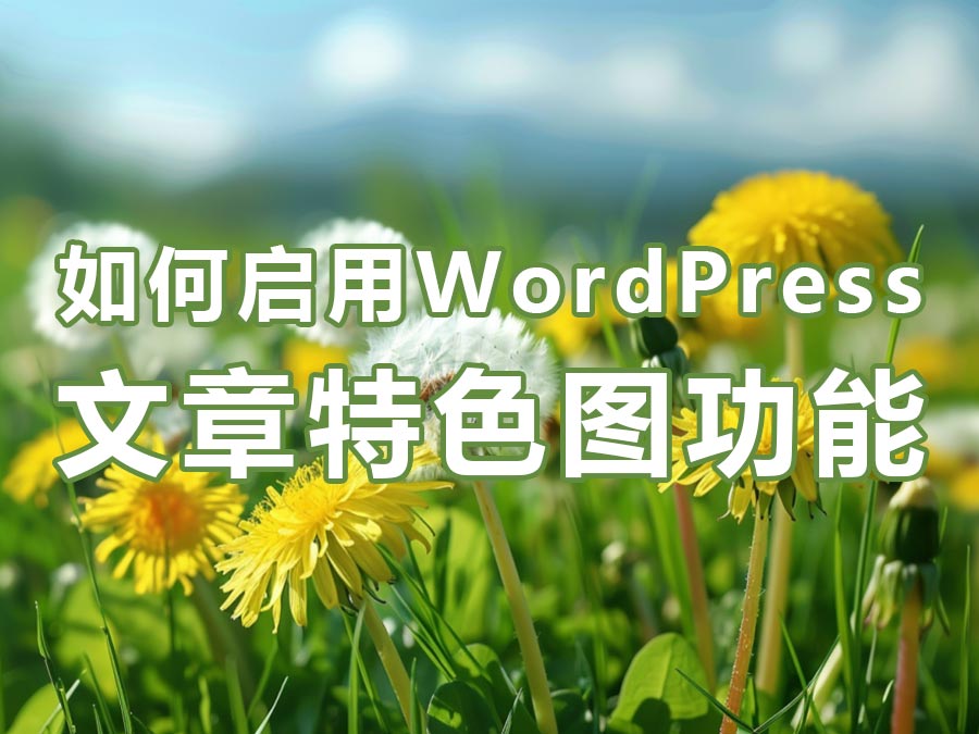 如何启用WordPress文章特色图功能