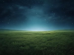 文章没特色图？极光AI-APot自动设置一张，列表页再也不空白。