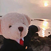 流量追求者 的头像